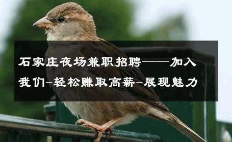 石家庄夜场兼职招聘——加入我们-轻松赚取高薪-展现魅力 
