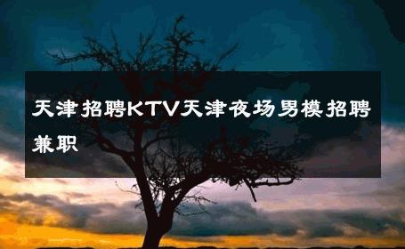 天津招聘KTV天津夜场男模招聘兼职 