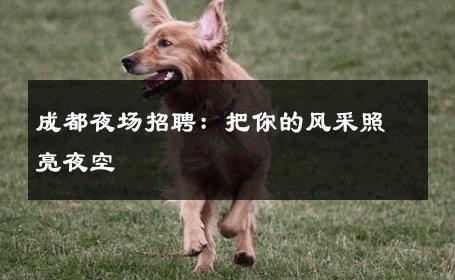 成都夜场招聘：把你的风采照亮夜空 