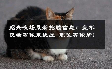 绍兴夜场最新招聘信息：豪华夜场等你来挑战-职位等你拿！ 