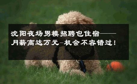 沈阳夜场男模招聘包住宿——月薪高达万元-机会不容错过！ 