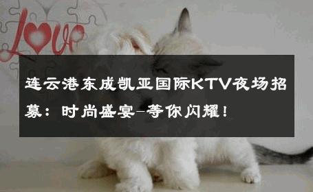 连云港东成凯亚国际KTV夜场招募：时尚盛宴-等你闪耀！ 