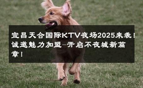 宜昌天合国际KTV夜场2025来袭！诚邀魅力加盟-开启不夜城新篇章！ 