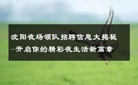 沈阳夜场领队招聘信息大揭秘-开启你的精彩夜生活新篇章 