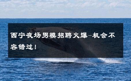 西宁夜场男模招聘火爆-机会不容错过！ 