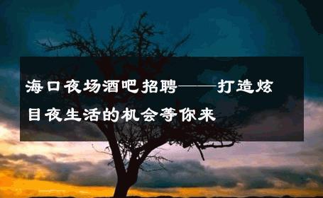 海口夜场酒吧招聘——打造炫目夜生活的机会等你来 