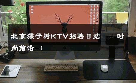 北京猴子树KTV招聘日结——时尚前沿-！ 