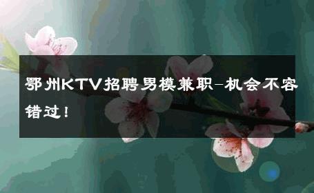 鄂州KTV招聘男模兼职-机会不容错过！ 