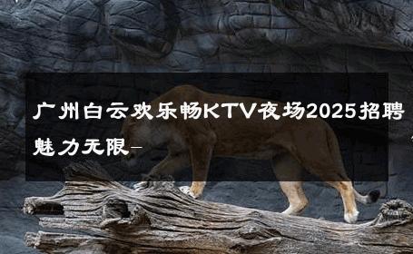 广州白云欢乐畅KTV夜场2025招聘魅力无限- 