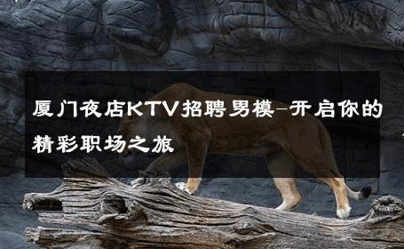厦门夜店KTV招聘男模-开启你的精彩职场之旅 