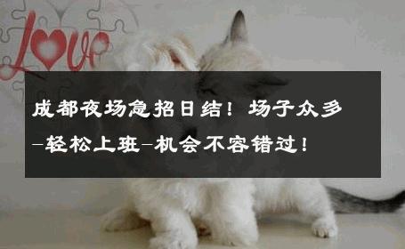 成都夜场急招日结！场子众多-轻松上班-机会不容错过！ 