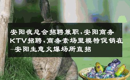 安阳夜总会招聘兼职,安阳商务KTV招聘,商务素场里模特促销在-安阳生意火爆场所直招