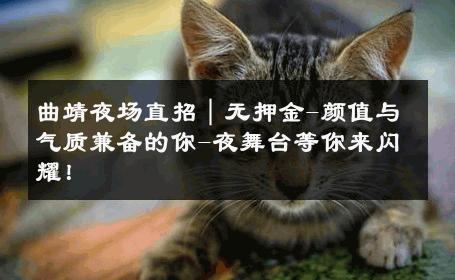 曲靖夜场直招｜无押金-颜值与气质兼备的你-夜舞台等你来闪耀！ 
