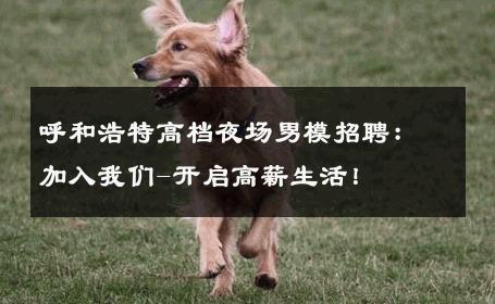 呼和浩特高档夜场男模招聘：加入我们-开启高薪生活！ 