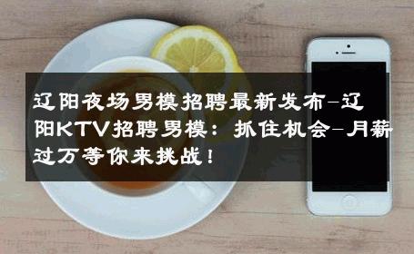 辽阳夜场男模招聘最新发布-辽阳KTV招聘男模：抓住机会-月薪过万等你来挑战！ 