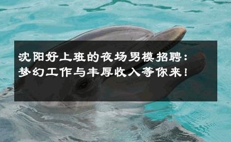 沈阳好上班的夜场男模招聘：梦幻工作与丰厚收入等你来！ 