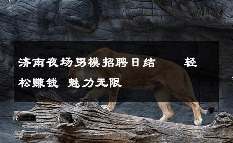 济南夜场男模招聘日结——轻松赚钱-魅力无限 