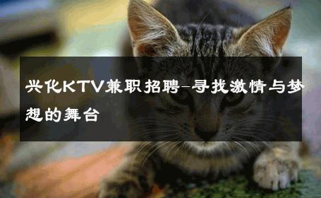 兴化KTV兼职招聘-寻找激情与梦想的舞台 
