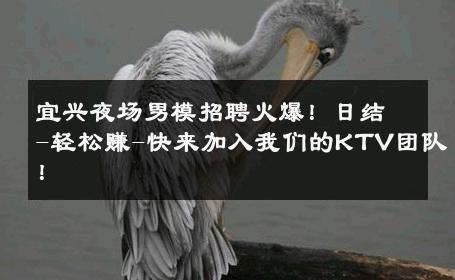 宜兴夜场男模招聘火爆！日结-轻松赚-快来加入我们的KTV团队！ 
