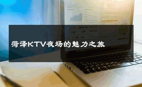 菏泽KTV夜场的魅力之旅 