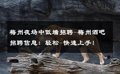 梅州夜场中低端招聘-梅州酒吧招聘信息：轻松-快速上手！ 