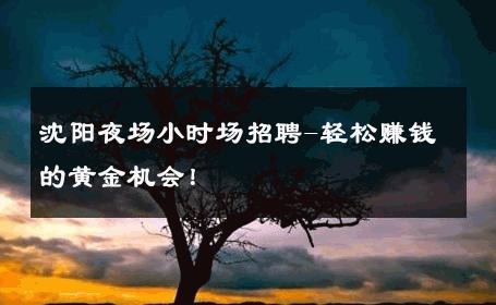 沈阳夜场小时场招聘-轻松赚钱的黄金机会！ 