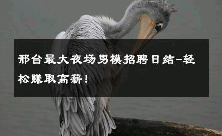 邢台最大夜场男模招聘日结-轻松赚取高薪！ 