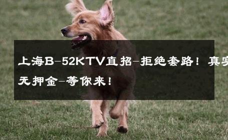上海B-52KTV直招-拒绝套路！真实无押金-等你来！ 