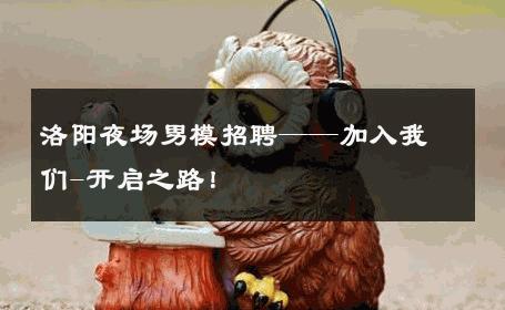 洛阳夜场男模招聘——加入我们-开启之路！ 
