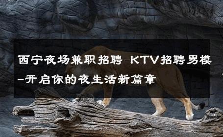 西宁夜场兼职招聘-KTV招聘男模-开启你的夜生活新篇章 