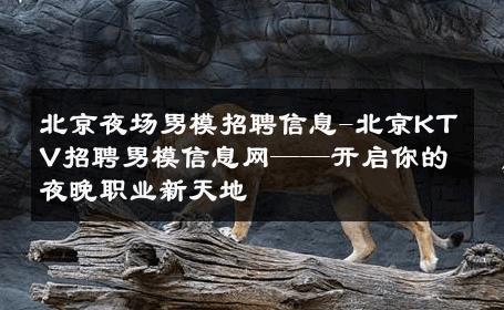 北京夜场男模招聘信息-北京KTV招聘男模信息网——开启你的夜晚职业新天地 