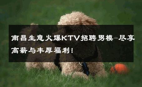 南昌生意火爆KTV招聘男模-尽享高薪与丰厚福利！ 
