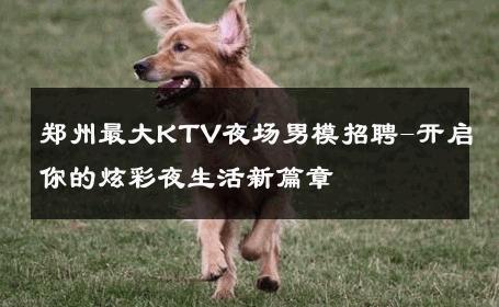 郑州最大KTV夜场男模招聘-开启你的炫彩夜生活新篇章 