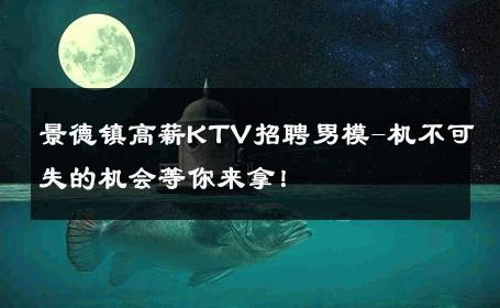 景德镇高薪KTV招聘男模-机不可失的机会等你来拿！ 