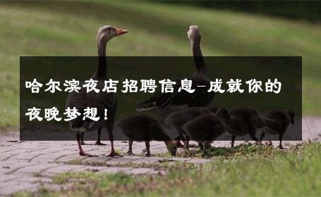 哈尔滨夜店招聘信息-成就你的夜晚梦想！ 