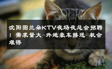 沈阳图兰朵KTV夜场夜总会招聘！需求量大-外地豪车接送-机会难得 