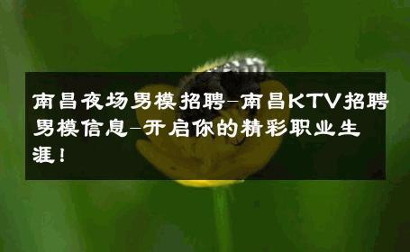 南昌夜场男模招聘-南昌KTV招聘男模信息-开启你的精彩职业生涯！ 