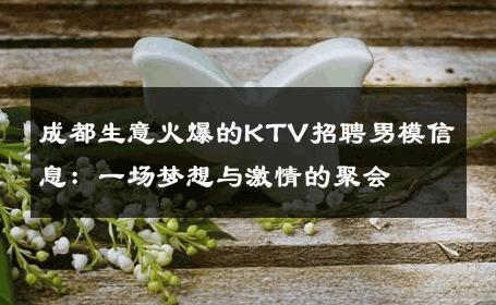 成都生意火爆的KTV招聘男模信息：一场梦想与激情的聚会 