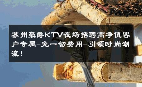 苏州豪爵KTV夜场招聘高净值客户专属-免一切费用-引领时尚潮流！ 