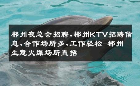 郴州夜总会招聘,郴州KTV招聘信息,合作场所多,工作轻松-郴州生意火爆场所直招