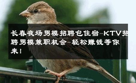长春夜场男模招聘包住宿-KTV招聘男模兼职机会-轻松赚钱等你来！ 