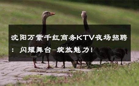 沈阳万紫千红商务KTV夜场招聘：闪耀舞台-绽放魅力！ 