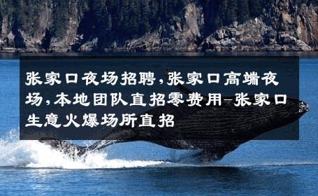 张家口夜场招聘,张家口高端夜场,本地团队直招零费用-张家口生意火爆场所直招