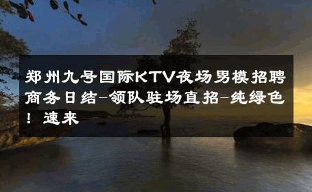 郑州九号国际KTV夜场男模招聘商务日结-领队驻场直招-纯绿色！速来 