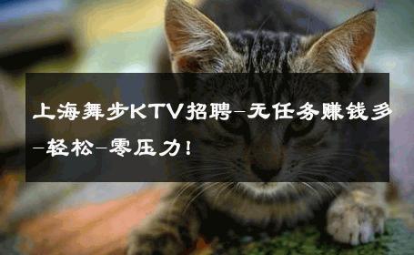 上海舞步KTV招聘-无任务赚钱多-轻松-零压力！ 