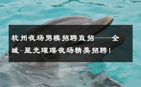 杭州夜场男模招聘直招——全城-星光璀璨夜场精英招聘！ 