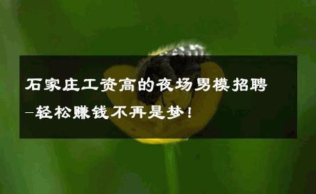 石家庄工资高的夜场男模招聘-轻松赚钱不再是梦！ 