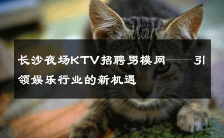 长沙夜场KTV招聘男模网——引领娱乐行业的新机遇 