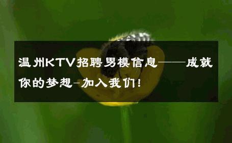 温州KTV招聘男模信息——成就你的梦想-加入我们！ 