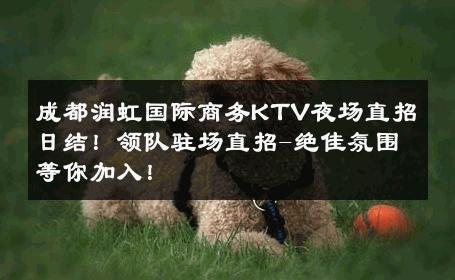 成都润虹国际商务KTV夜场直招日结！领队驻场直招-绝佳氛围等你加入！ 